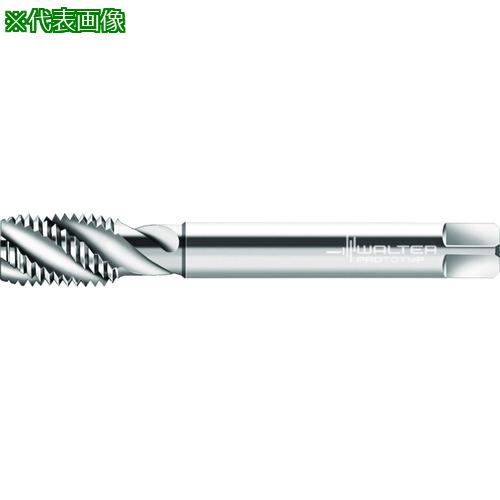 Prototyp ޥ󥿥åס:P235599EGUNF38͡2270333:0[ӸѤ][ǳ][ŹƬԲ]