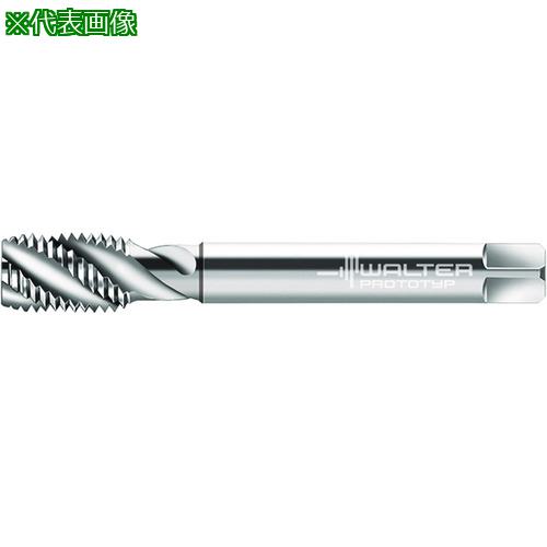 Prototyp ޥ󥿥åס:P20569M52͡2273455:0[ӸѤ][ǳ][ŹƬԲ]