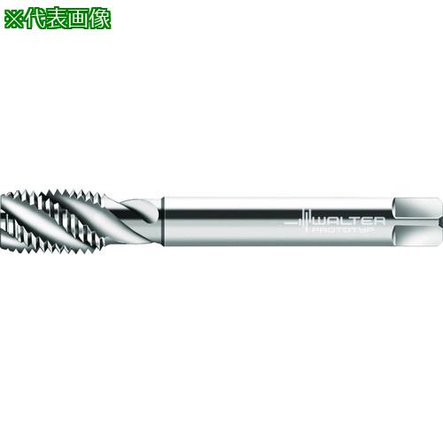 Prototyp ޥ󥿥åס:P22569UNC1.18͡2275085:0[ӸѤ][ǳ][ŹƬԲ]