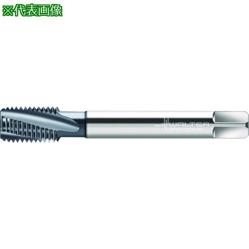 Prototyp ޥ󥿥åס:2046606M12͡2276214:0[ӸѤ][ǳ][ŹƬԲ]