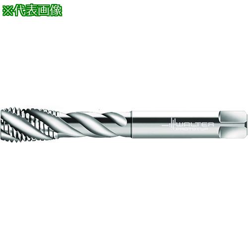 Prototyp ޥ󥿥åס:P21569M45X1.5͡2276620:0[ӸѤ][ǳ][ŹƬԲ]