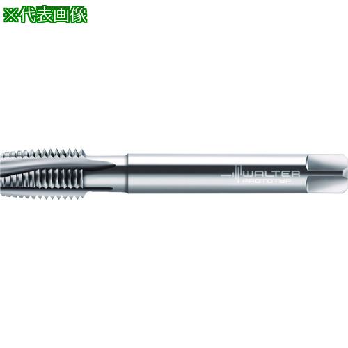 Prototyp ޥ󥿥åס:202661M14͡2277852:0[ӸѤ][ǳ][ŹƬԲ]