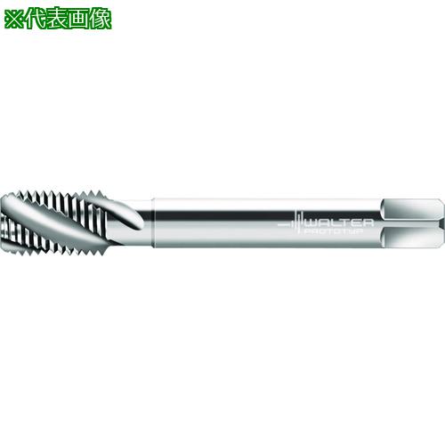 Prototyp ޥ󥿥åס:N20566M12͡2278210:0[ӸѤ][ǳ][ŹƬԲ]