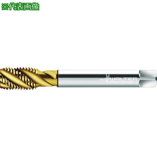 Prototyp ޥ󥿥åס:P2356905UNF12͡2278212:0[ӸѤ][ǳ][ŹƬԲ]