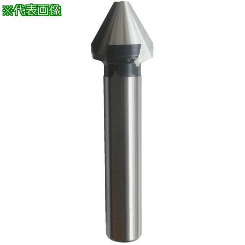 WEBA 󥿡 No.19060-0 603 HSS 30:19060030͡2281974:0[ŹƬԲ]