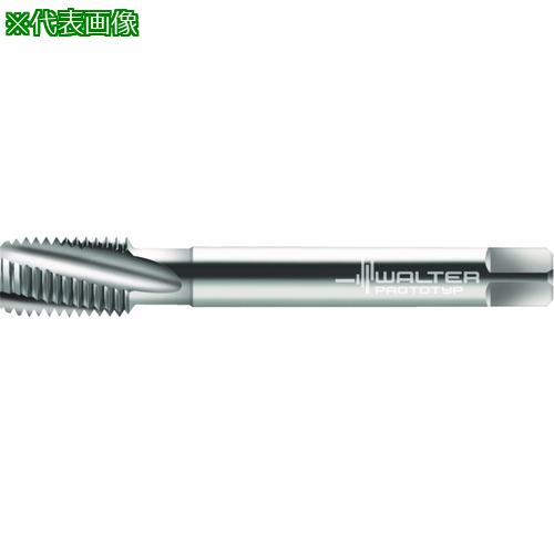 Prototyp ޥ󥿥åס:20460M22͡2284105:0[ӸѤ][ǳ][ŹƬԲ]