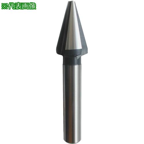 WEBA 󥿡 No.19030-0 303 HSS 31:19030031͡2285113:0[ŹƬԲ]