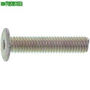 ■SUNCO 三価ホワイトTRXスリムヘッド小ネジ5×25 T10 (300本入)〔品番:0000A4000050025003〕【2305039:0】[送料別途...