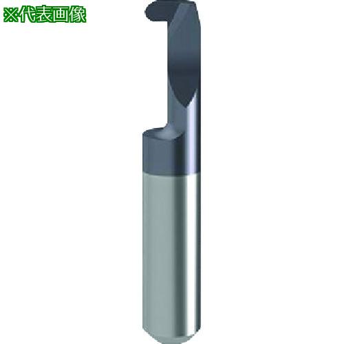 GUHRING 칩 󥵡 ¥եRù nanoA GE106.0100.050.32.60.L:257596.005͡...