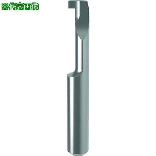 ■GUHRING 溝入れ工具 インサート 内径溝入れ加工用 GE104.0079.000.22.40.L〔品番:251314.016〕【2322920:0】[送料別途見積り][掲外取寄][店頭受取不可]