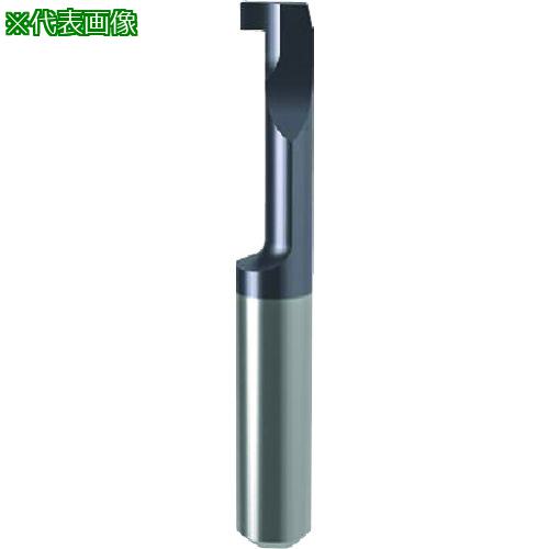 ■GUHRING 溝入れ工具 インサート 内径溝入れ加工用 nanoAコート GE104.0070.000.12.30.L〔品番:251274.011〕【232...