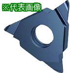 ■GUHRING 溝入れ工具 インサート 端面フルR溝入れ FIREコート GA305.0150.075.AA.04.R《2本入》〔品番:2563412.001...