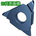 ■GUHRING 溝入れ工具 インサート 端面フルR溝入れ FIREコート GA305.0300.150.AA.04.L《2本入》〔品番:2563512.003...