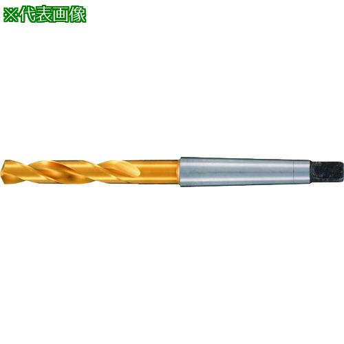 GUHRING ϥɥ 硼/ TiN 16mm:66316.000͡2332316:0[ӸѤ][ǳ][ŹƬ...