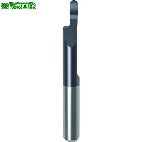 ■GUHRING 溝入れ工具 インサート 端面フルR溝入れ加工用 nanoAコート GA106.Z200.100.22.60.R〔品番:258066.004〕【...