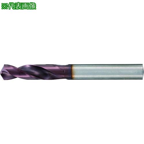 GUHRING ϥɥ 硼/ FIRE 3.5mm:24603.500͡2334048:0[ӸѤ][ǳ][Ź...
