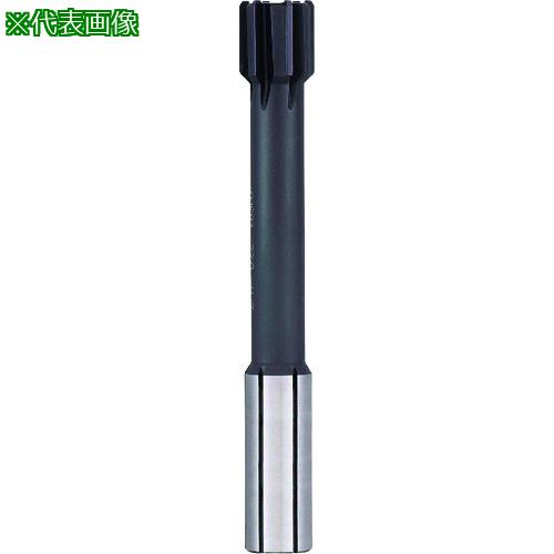 GUHRING ®ùѥ꡼ 쥮nanoA 30mm:168130.000͡2334388:0[ӸѤ][ǳ][ŹƬ...