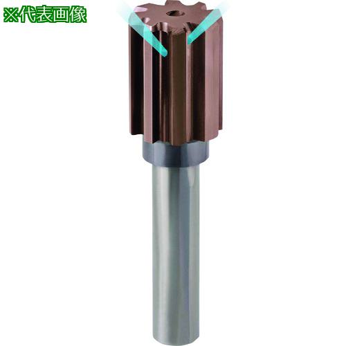 GUHRING ®ùѥ꡼ 쥮nanoA 28mm:154928.000͡2335967:0[ӸѤ][ǳ][ŹƬ...