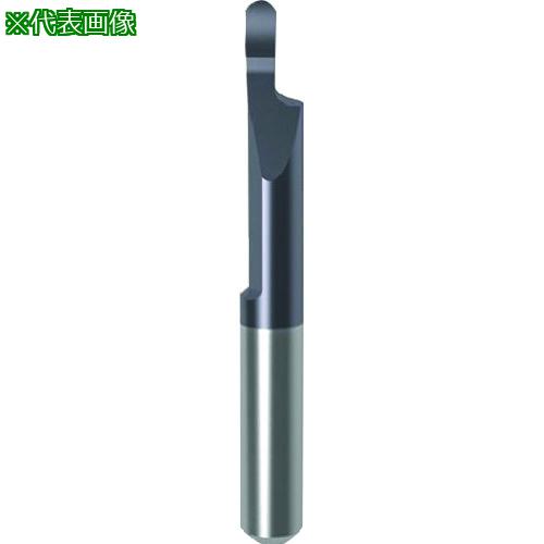 GUHRING 칩 󥵡 ü̥եRù nanoA GA106.0150.075.17.60.L:257916.001...