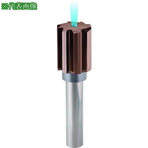 GUHRING ®ùѥ꡼ 쥮nanoA 16mm:154816.000͡2337532:0[ӸѤ][ǳ][ŹƬ...