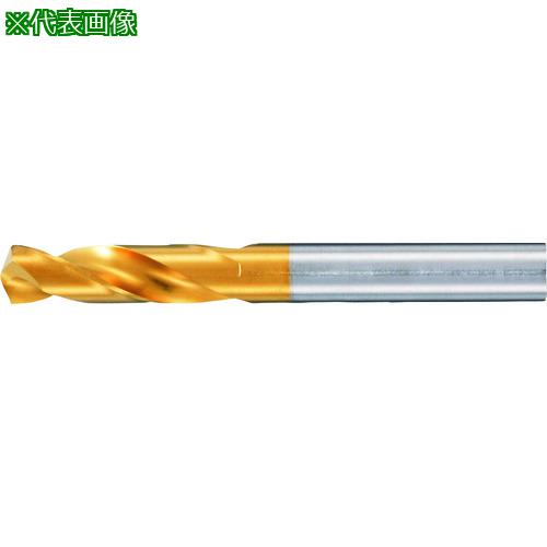 GUHRING ϥɥ 硼/ TiN 3.4mm:6593.400͡2340367:0[ӸѤ][ǳ][ŹƬ...
