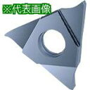 ■GUHRING 溝入れ工具 インサート 内外径溝入れ加工用 TiCNコート GE305.0100.000.BA.04.N《2本入》〔品番:2560212.00...