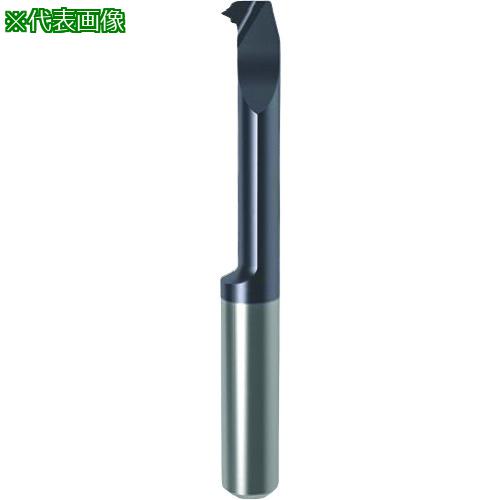 ■GUHRING 溝入れ工具 インサート 内径ねじ切り さらい刃付き - ウィットねじ用 nanoAコート GG104.VW28.091.17.43.R〔品番:...