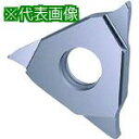 ■GUHRING 溝入れ工具 インサート 端面溝入れ TiCNコート GA305.0200.020.BA.04.L《2本入》〔品番:2562912.002〕【2...