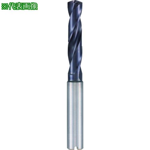 GUHRING Ķťƥ쥹ѥɥ3D nanoA 10.8mm:851010.800͡2347249:0[ӸѤ][ǳ...