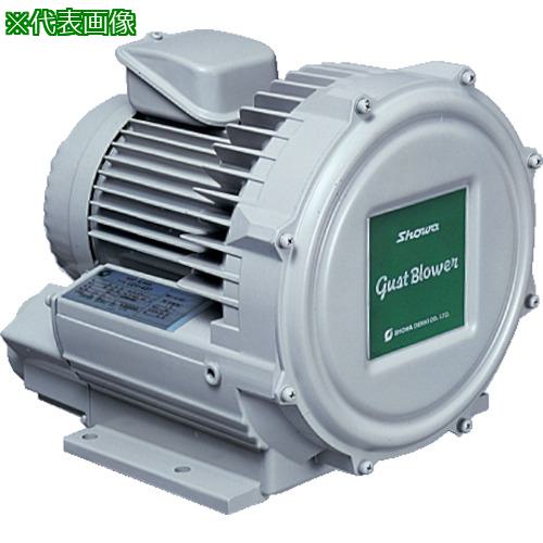 ■昭和 電動送風機 渦流式高圧シリーズ ガストブロアシリーズ(0.07kW)〔品番:U2V07T〕【2387336:0】[送..