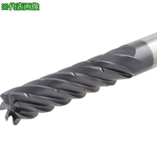  Ķťåɥɥߥ ECP-H7-CF IC902:ECPH71696C16CF175͡2399007:0[ӸѤ][ǳ][ŹƬԲ]