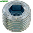 ■SUNCO SUS316L互省プラグ (浮き GJ 3/8 (300本入)〔品番:A01258008030000000〕【2409804:0】[送料別途見積り...