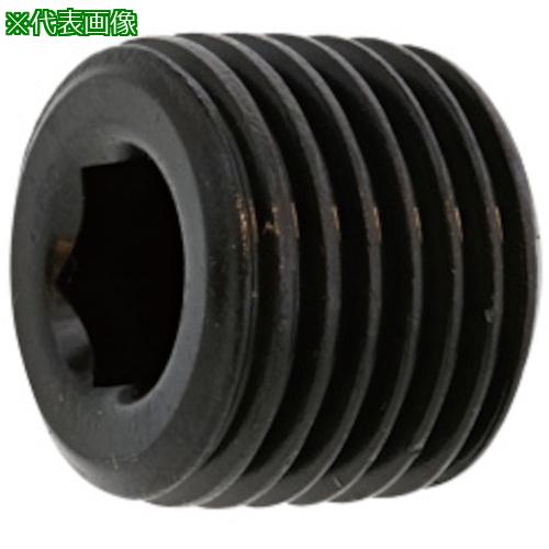 SUNCO SUS316L ơѡץ饰 ⤭ 1/4 (100):A01257008020000000͡2413004:0[ӸѤ]...