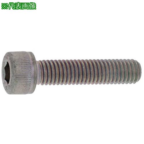 ■SUNCO ステンCAP(カクマル 6×12 (500本入)〔品番:A002000K0060012000〕【2413686:0】[送料別途見積り][掲外取寄][店頭受取不可]