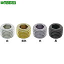 ■SUNCO 黒 S45Cオリフィスプラグ P10823 P10823 (500本入)〔品番:A00058908010002300〕【2418259:0】[送料...