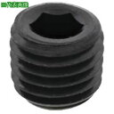 ■SUNCO GOSHOプラグ (マイクロ GPM 1/24 (3000本入)〔品番:A00058808003000000〕【2419825:0】[送料別途見積...
