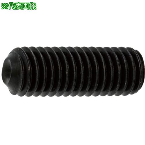 ■SUNCO ステンHS(クボミ先 8×100 (100本入)〔品番:A00250000080100000〕【2421745:0】[送料別途見積り][掲外取寄][店頭受取不可]