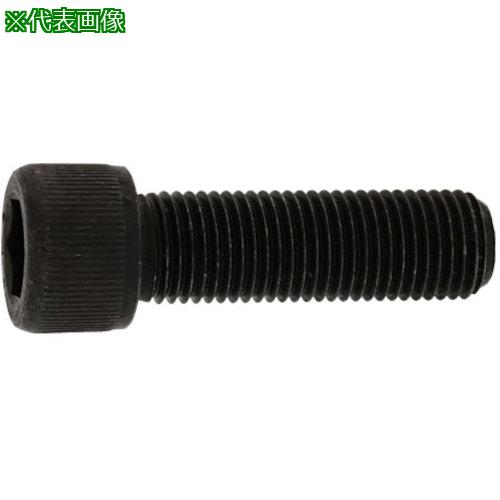 SUNCO ƥCAP(UNF #10-323/8 (100):A00200407100803000͡2424760:0[ӸѤ][ǳ][ŹƬԲ]