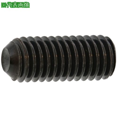 ■SUNCO ニッケル HS(ナガイ くぼみ先 2.5×4 (1000本入)〔品番:A000500M0025004005〕【2425278:0】[送料別途見積り][掲外取寄][店頭受取不可]