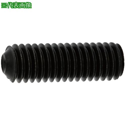 ■SUNCO HS(TKS くぼみ先 16×80 (40本入)〔品番:A000500T0160080000〕【2428437:0】[送料別途見積り][掲外取寄][店頭受取不可]