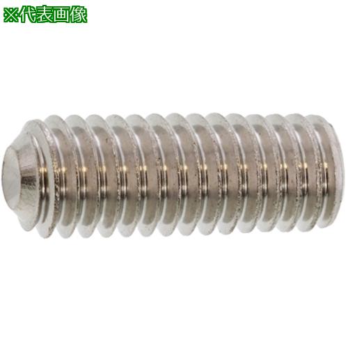 ■SUNCO HS(日産ネジ くぼみ先 12×40 (100本入)〔品番:A000500N0120040000〕【2430047:0】[送料別途見積り][掲外取寄][店頭受取不可]