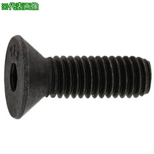 ■SUNCO SUSサラCAP(UNC#10-24X2”(100本入)〔品番:A00220307100820000〕【2431501:0】[送料別途見積り][掲外取寄][店頭受取不可]