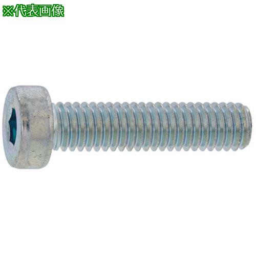 ■SUNCO ローヘッドCAP 20×40 (25本入)〔品番:A000L0000200040000〕【2434303:0】[送料別途見積り][掲外取寄][店頭受取不可]