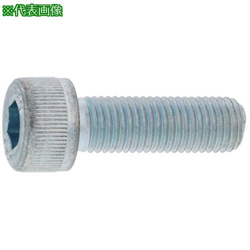 ■SUNCO ステンCAP 細目(P1.25 10 X 20 (100本入)〔品番:A00200040100020000〕【2435967:0】[送料別途見積り][掲外取寄][店頭受取不可]