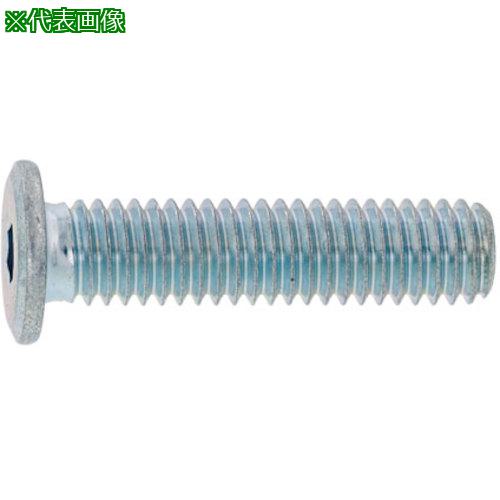 ■SUNCO 三価ホワイト 極薄・NSローヘッド 3×6 (1000本入)〔品番:A000L3000030006003〕【2436595:0】[送料別途見積り][掲外取寄][店頭受取不可]