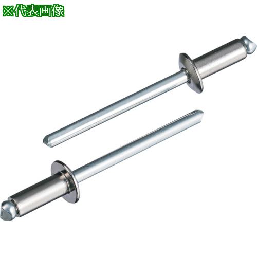 ■【在庫限り】エビ ブラインドリベット(丸頭) ステンレス/スティール製 5-6(1000本入)〔品番:LSS56〕【2442447:0】[店頭受取不可]