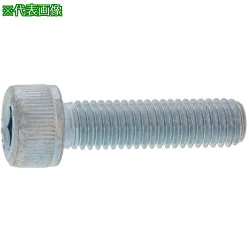Rakuten - ■SUNCO ダクロ CAP(TKS 6×115 (100本入)〔品番:A000000T0060115013〕【2467106:0】[送料別途見積り][掲外取寄][店頭受取不可]