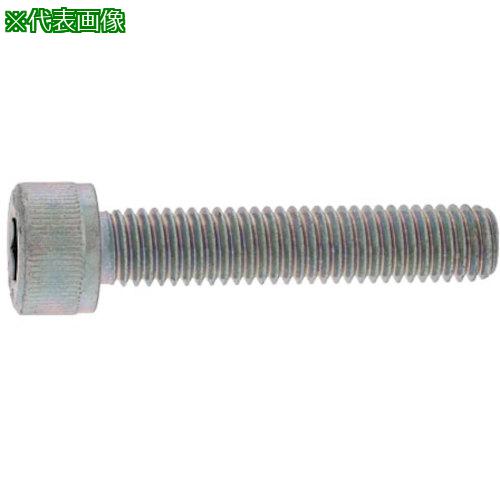 ■SUNCO クローム CAP(全ネジ 4×40×40 (400本入)〔品番:A00000100040040006〕【2467...