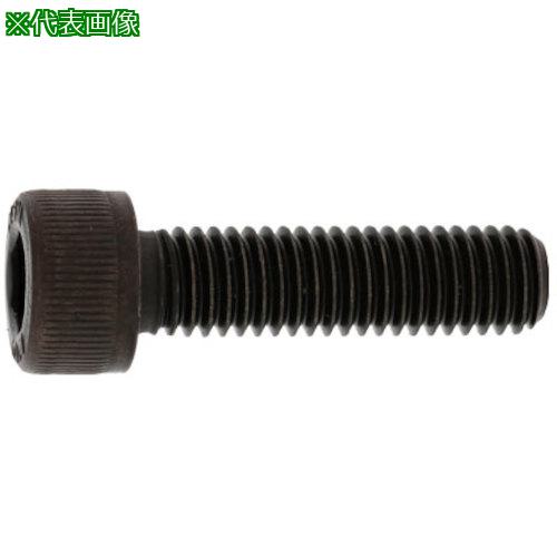 ■SUNCO 10.9 CAP 日産ネジ 12×40 (70本入)〔品番:A000010N0120040000〕【2470428:0】[送料別途見積り][掲外取寄][店頭受取不可]