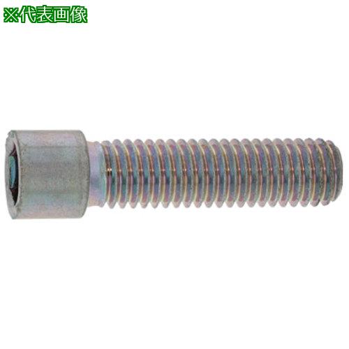 ■SUNCO 小頭CAP 10×40 (100本入)〔品番:A00000500100040000〕【2470509:0】[送料別途見積り][掲外取寄][店頭受取不可]